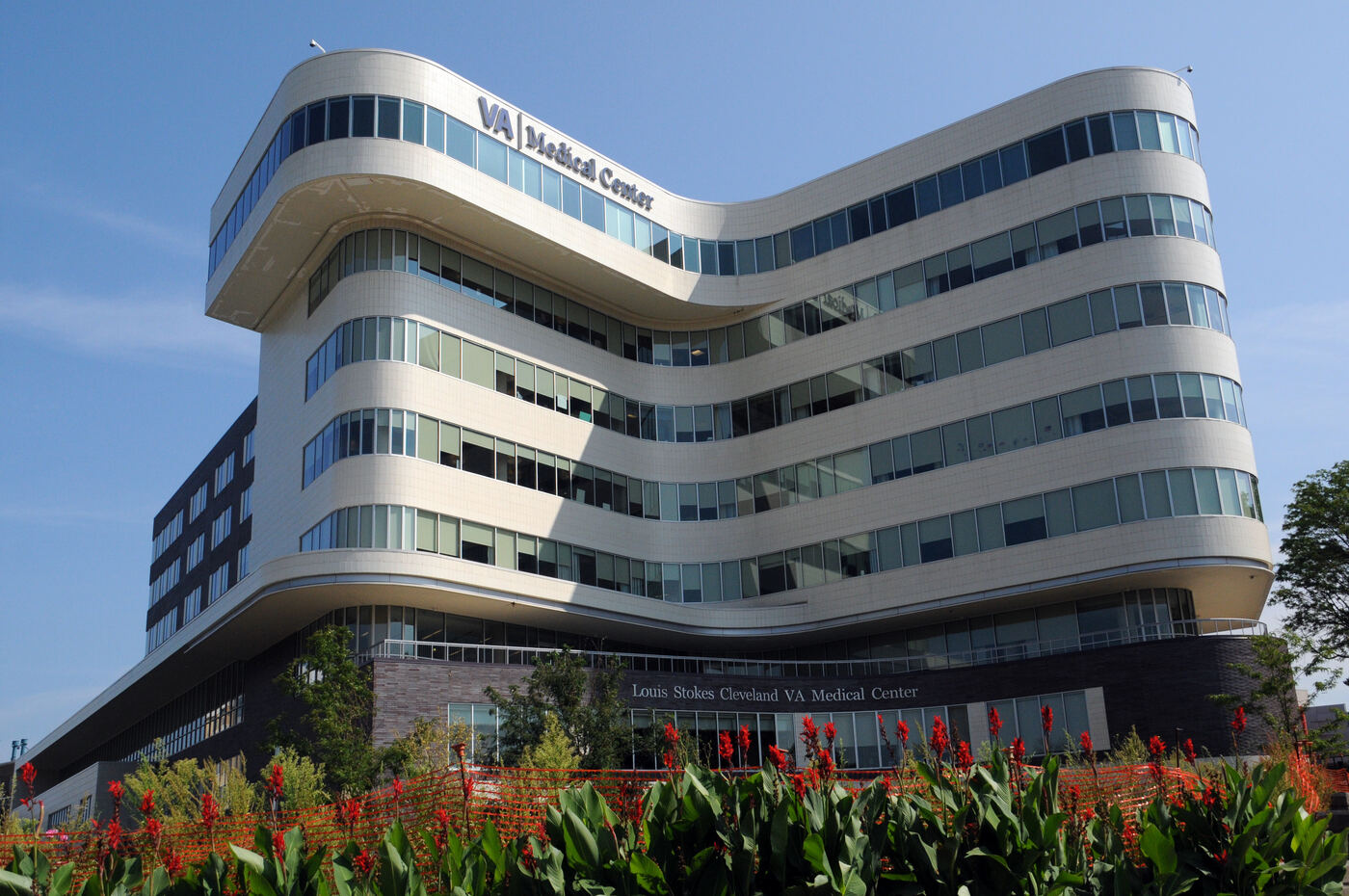 Cancer Screening for Veterans: What the VA Offers